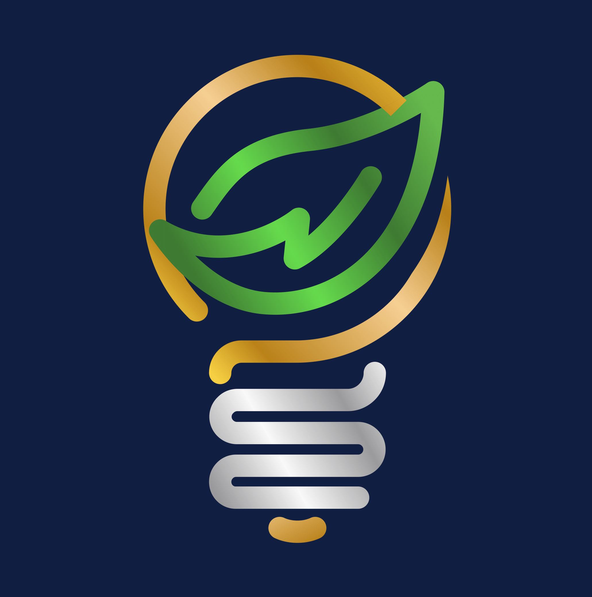 MICAP Electric Solutions LTD